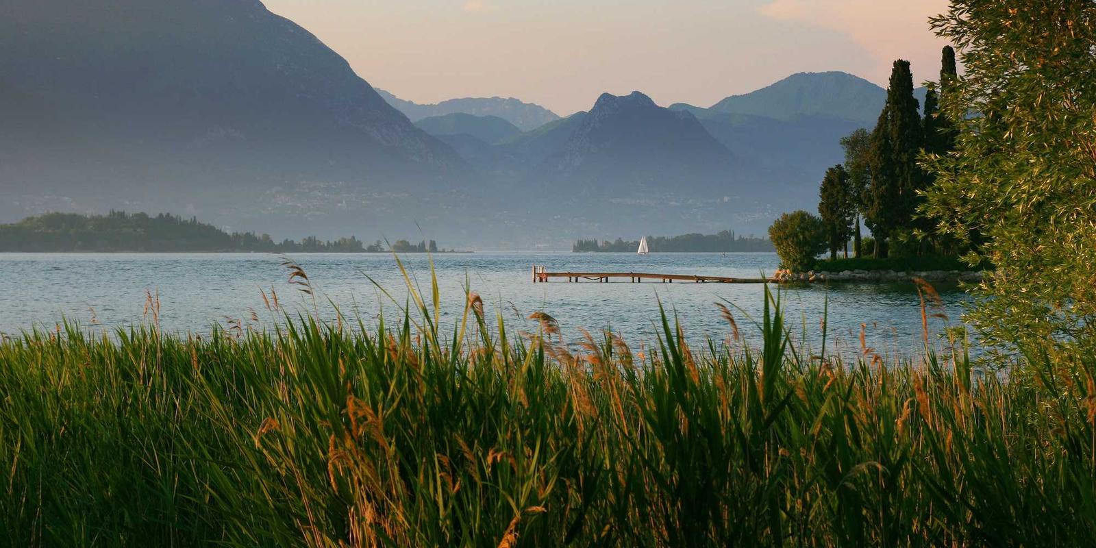 BonZi Active Protection Showcase